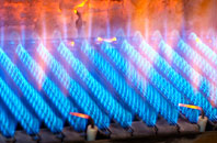 Hunsdonbury gas fired boilers